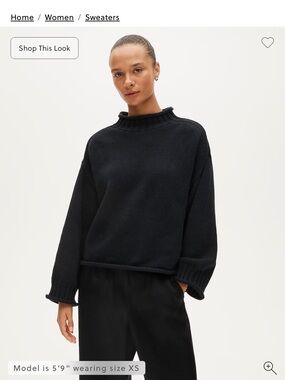 J. Crew 2025 Rollneck Sweater